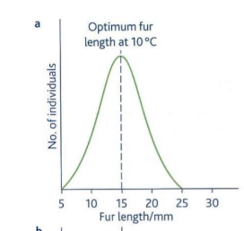 <p>describe and explain directional selection</p><p>briefly draw the graphs</p><p></p>