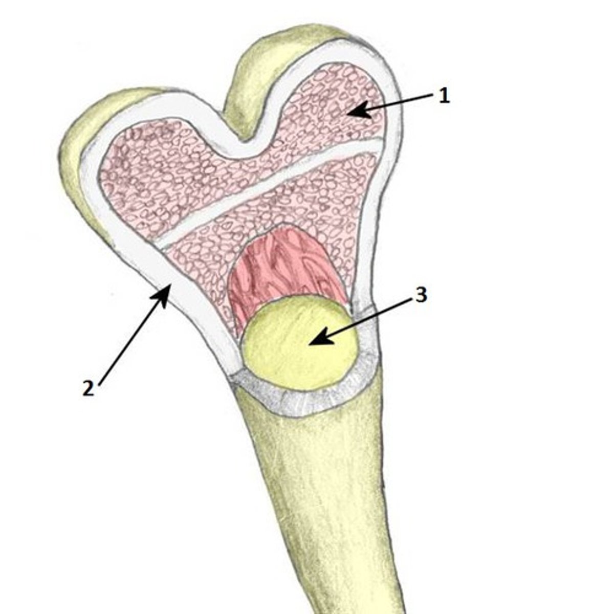 <p>Labeled 1</p>