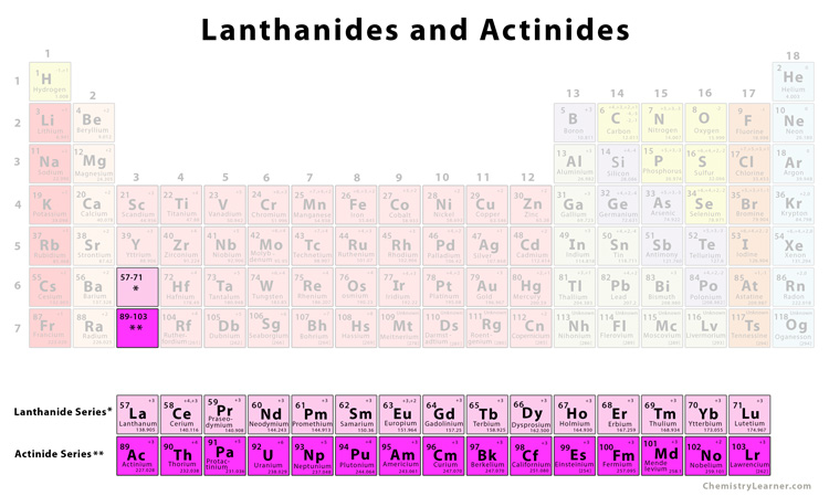 <p>lanthanides and actinides </p>