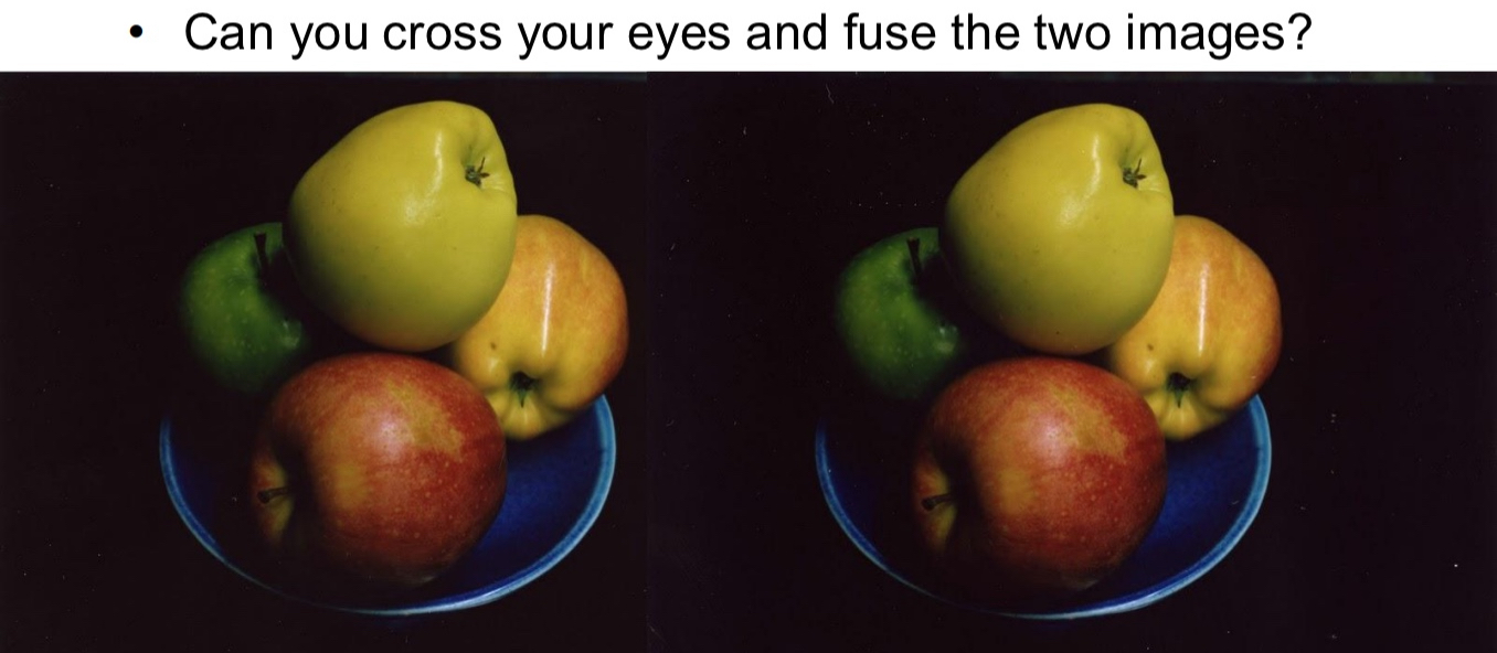 <p><span>The technique of converging (crossing) or diverging the eyes in order to view a stereogram without a stereoscope</span></p>