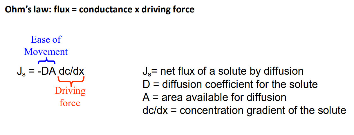 <p>Flux = conductance*driving force</p>