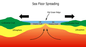 <p><span>the geological process at mid-ocean ridges where new oceanic crust forms from rising magma, solidifies, and then spreads outward, carrying continents apart in an ocean.</span></p>