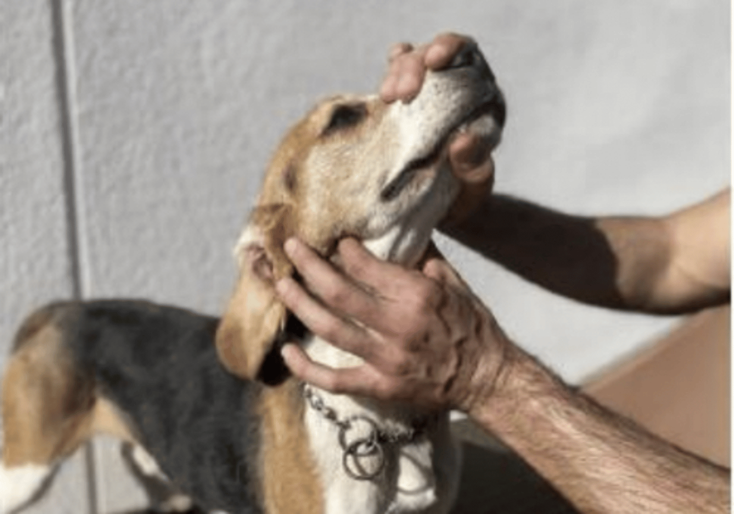 <p>what is happening here ?</p>