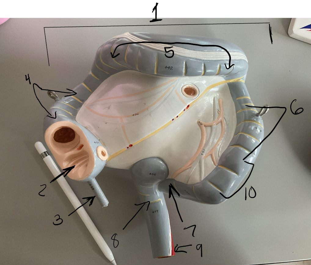 <p>6</p>