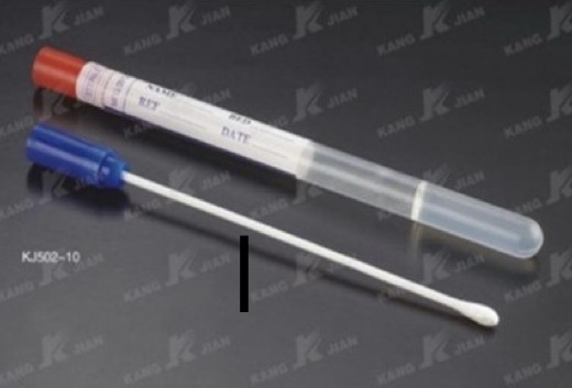 <p>A- identify this media</p><p>B- Give example</p><p>C- Give another type of transport media</p>