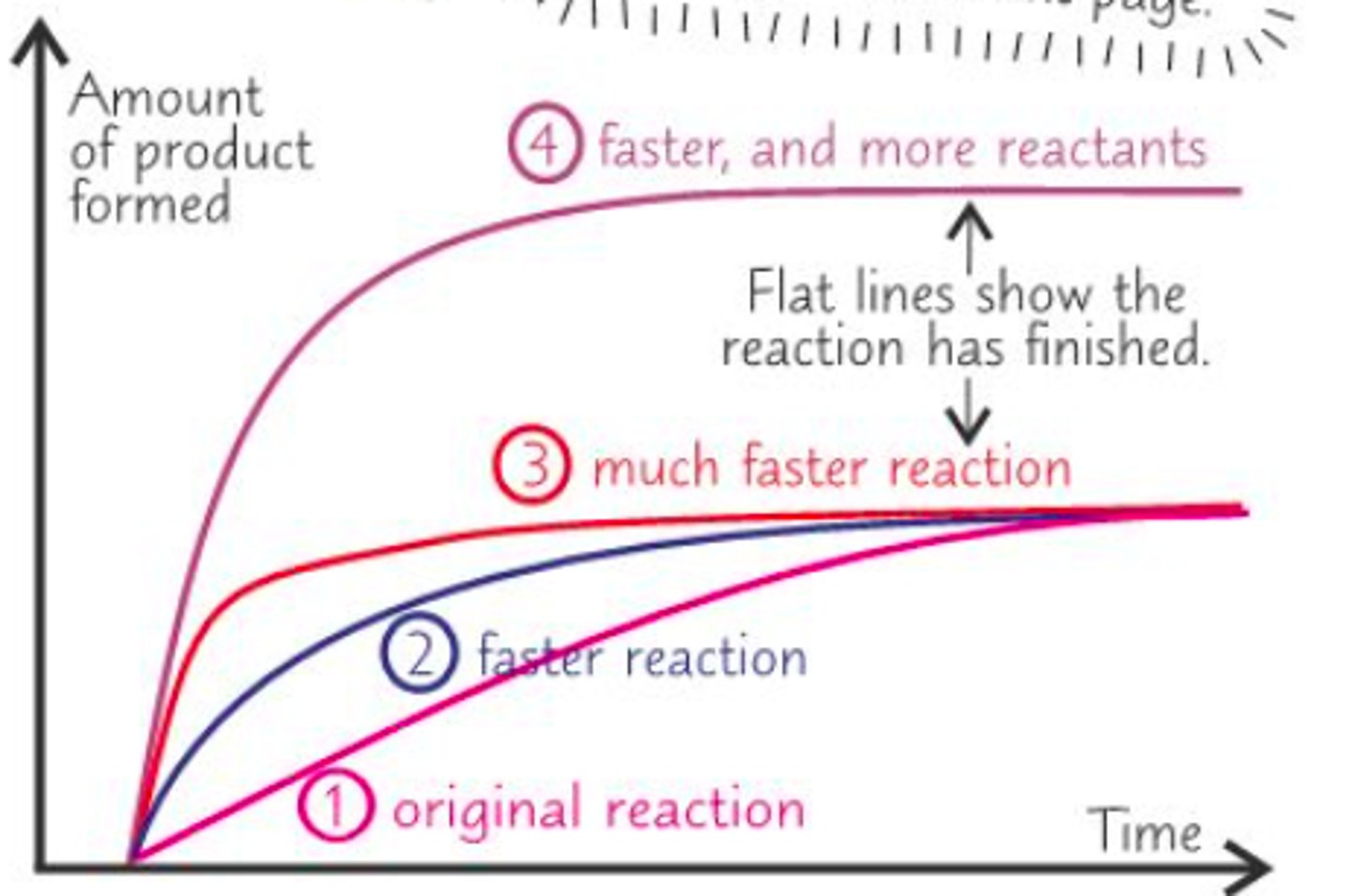 <p>the rate at which reactants change into products over time</p>