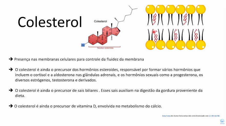 <p>Um esterol que é um importante componente das membranas celulares e precursor de hormônios esteroides e sais biliares.<br>Entrega e Remoção dos tecidos</p>