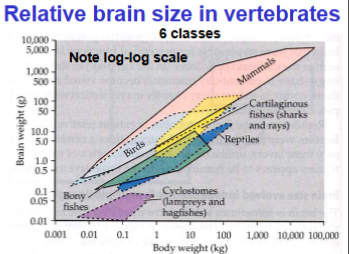 <p>Proportional, but intercept varies among classes</p>
