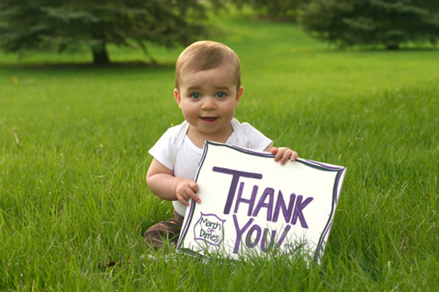 <p>(v) hiểu, nhận thức rõ</p>