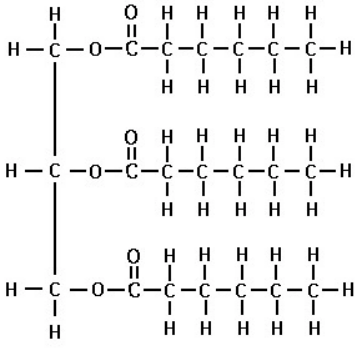 A fatty acid in which there are the maximum number of hydrogens due to there only being a __single bond__. 

* Pack tightly, solid at room temp
* Increase levels of HDL and LDL in blood → net negative effect