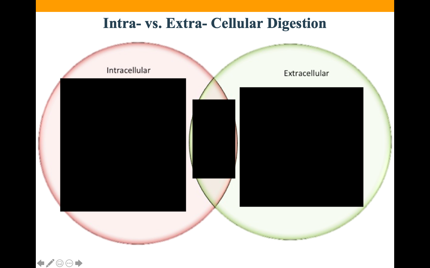 Differences between these 2 types of digestion?