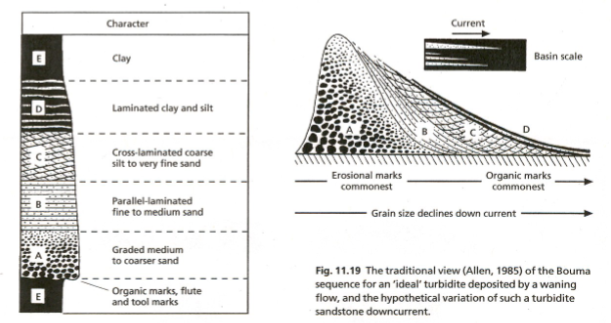 <p><span style="color: rgb(251, 251, 251);">Particles are kept aloft in the body of the flow by turbulent suspension. Density of flow is greater than that of ambient fluid</span></p><p><span style="color: rgb(251, 251, 251);">both high density and low density turbidity currents exist</span></p><p><span style="color: rgb(251, 251, 251);">sharp erosional base with upward fining; whole sequence rarely preserved</span></p>