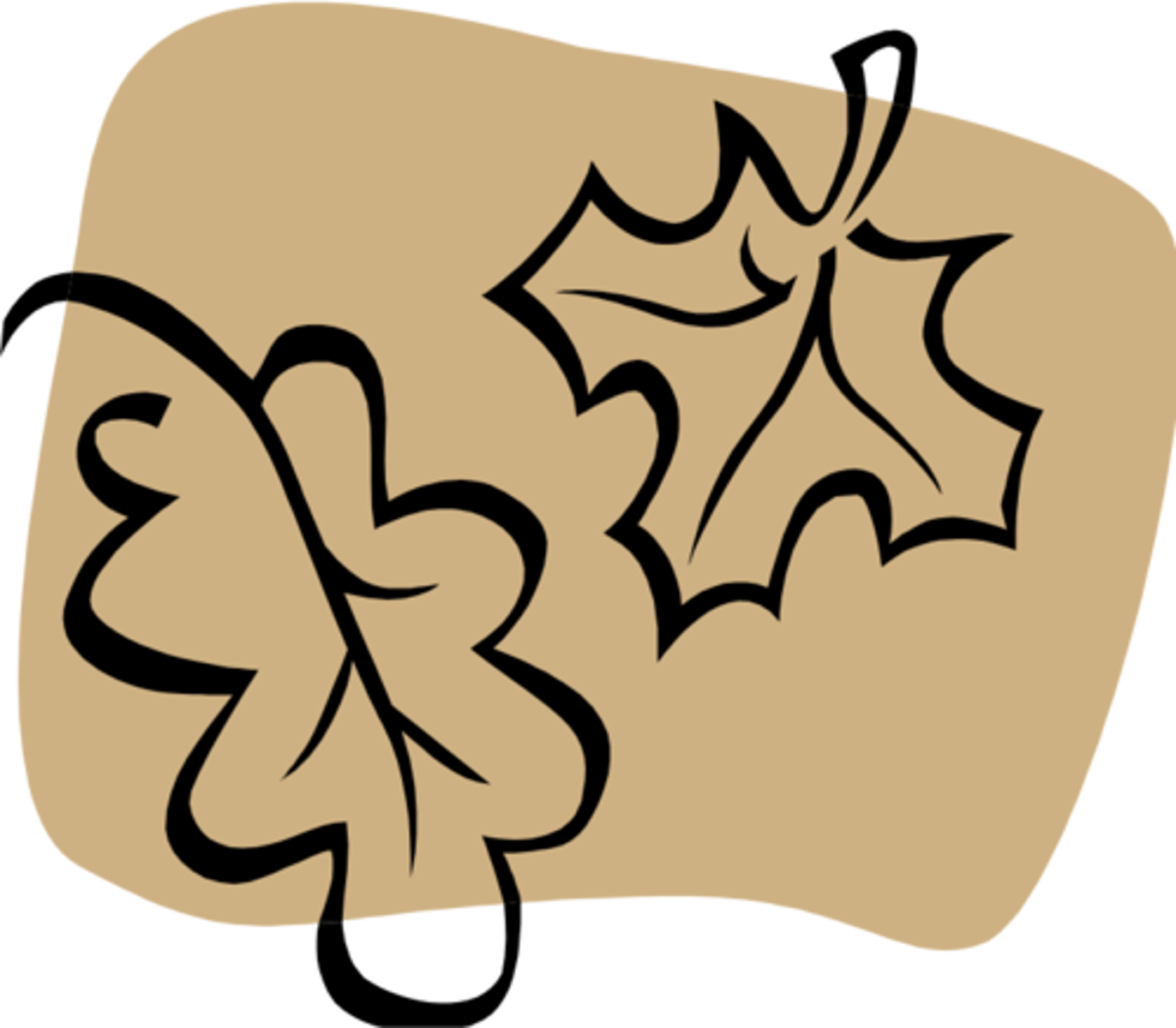 <p></p>