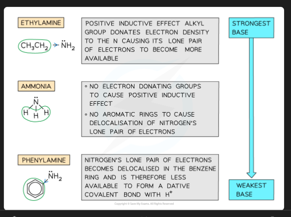 <ul><li><p><span>Alkyl groups are </span><strong>electron-releasing</strong><span>. They increase the electron density on the nitrogen's lone pair, making it </span><strong>more available</strong><span> to accept a proton.</span></p></li></ul><p></p>