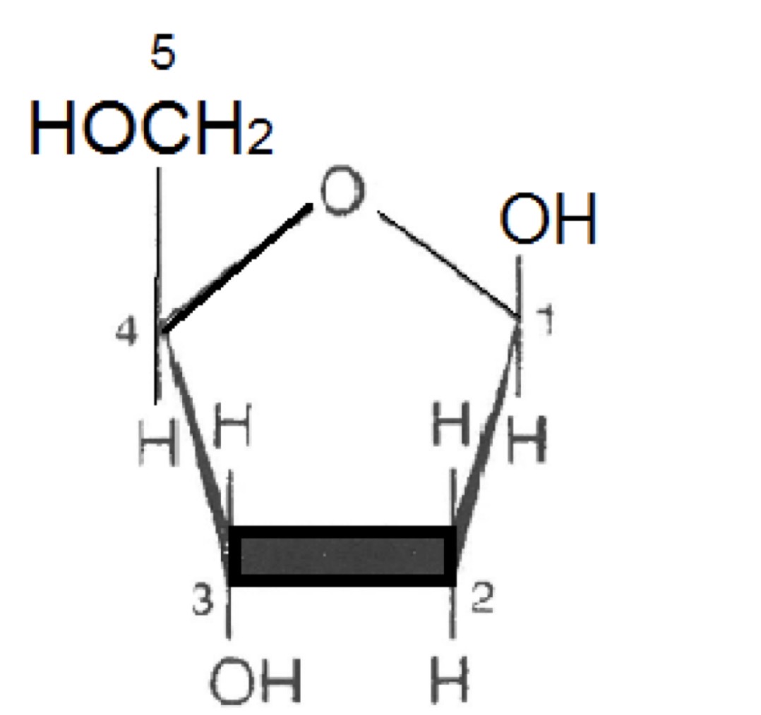 <p>C’est quoi ?</p>