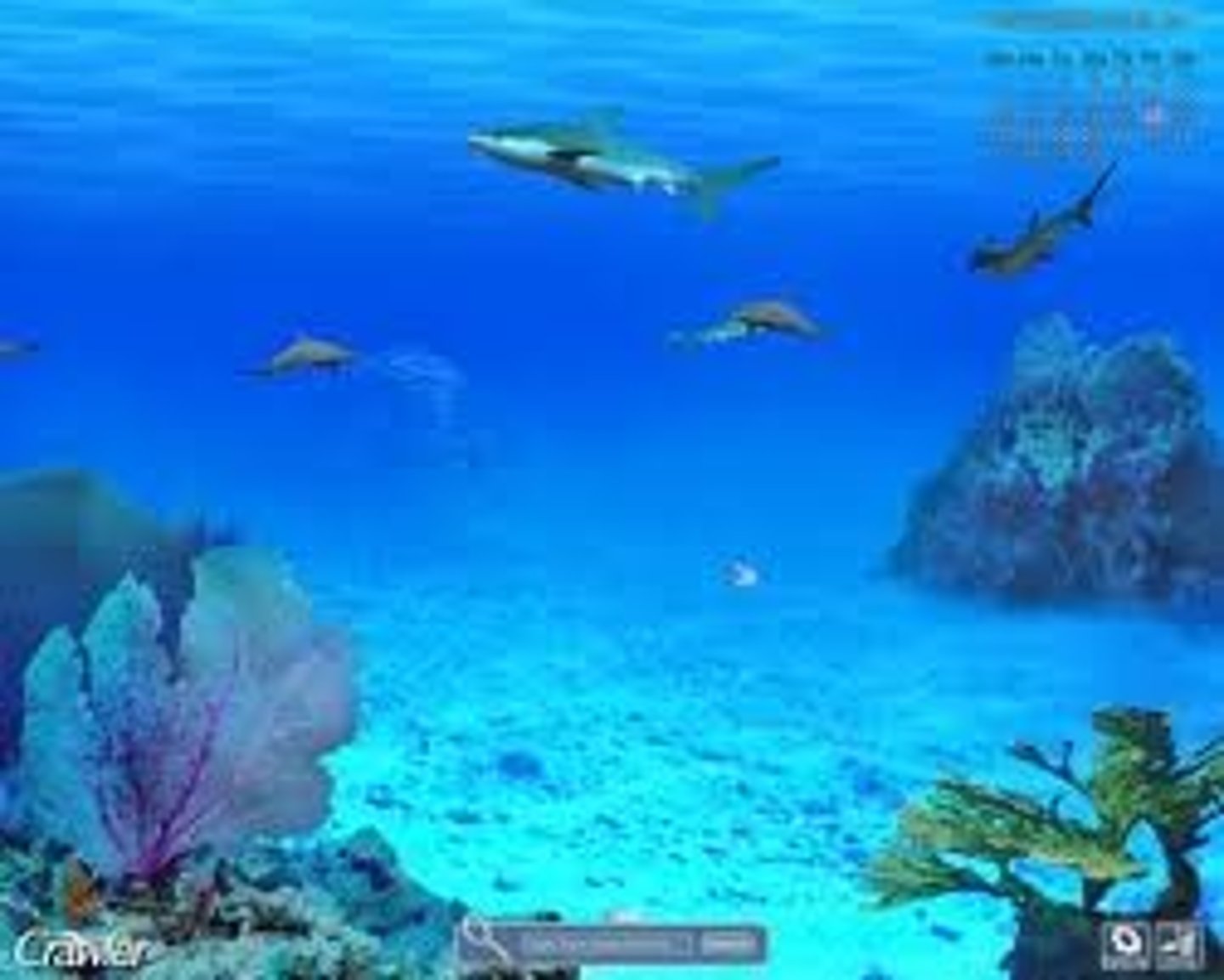 <p>Salt water biome. Includes oceans, seas, and estuaries that cover about 75% of the planet</p>