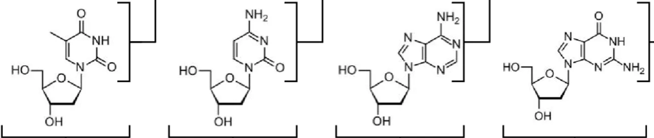 <p>What are the names of these? </p>