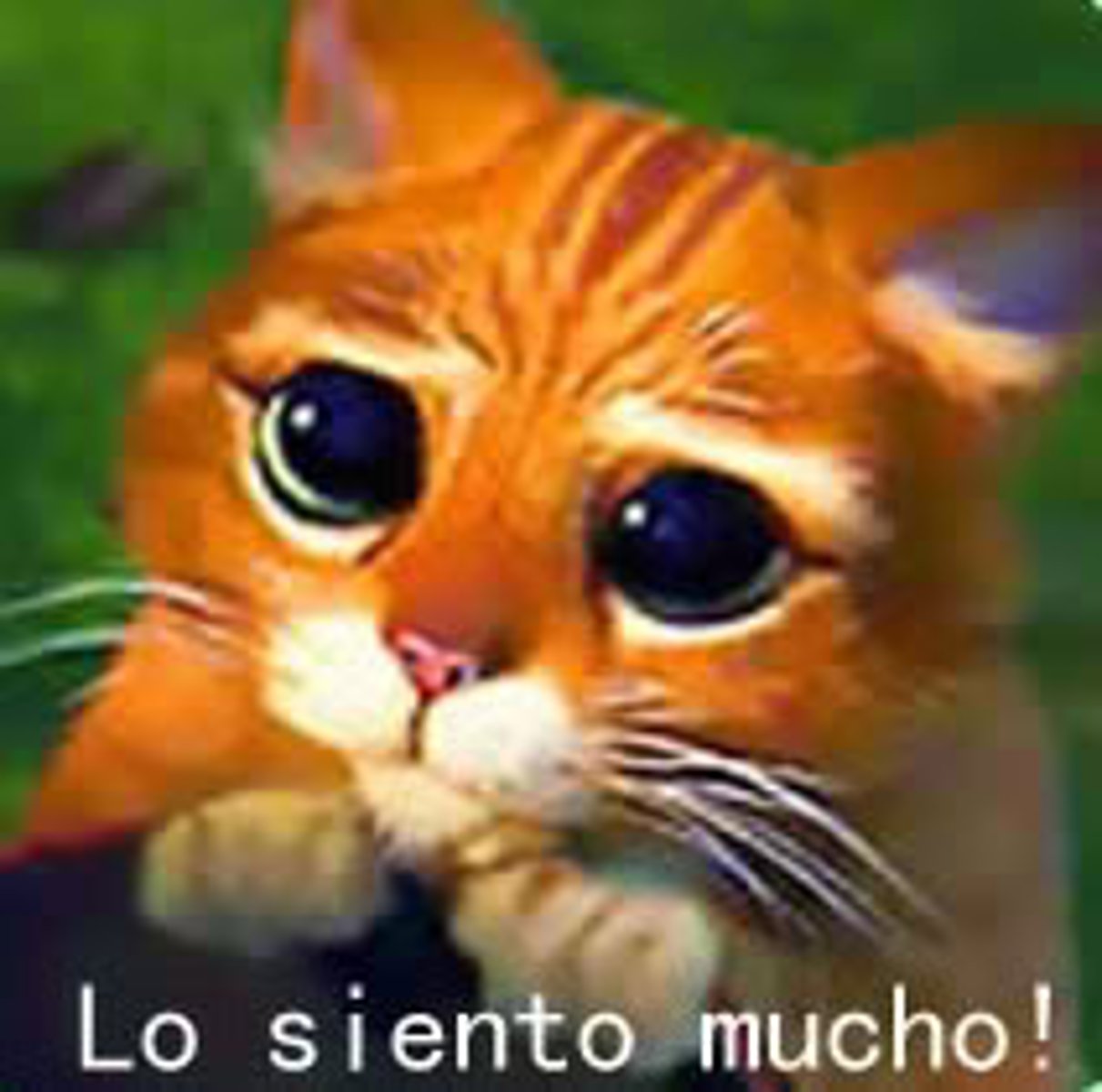 <p>to ask for forgiveness</p>