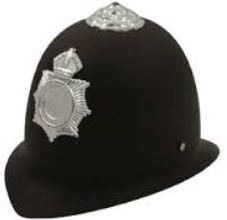 <p>What are Royal Commissions?</p>