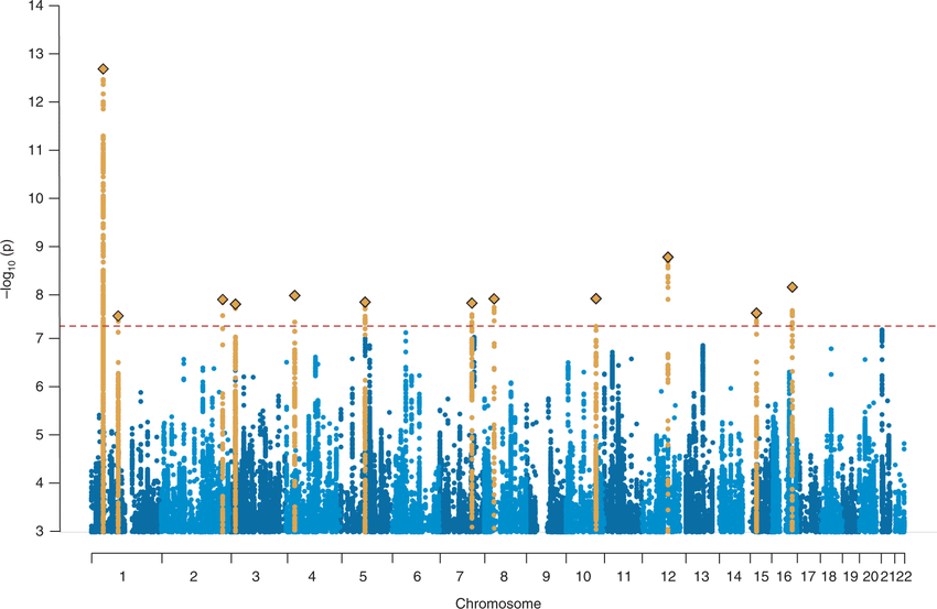 <p>A type of scatter plot used in genome-wide association studies (GWAS) to display SNPs (Single Nucleotide Polymorphisms) across the genome and their statistical significance in association with a trait or disease.</p>