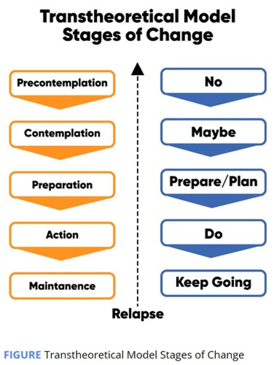 <p>1. Precontemplation: not thinking about change ('I won't'). 2. Contemplation: thinking about change in the long run ('I might'). 3. Preparation: preparing for change in the short run ('I will'). 4. Action: engaging in behavior for less than 6 months ('I am'). 5. Maintenance: engaging in behavior for more than 6 months ('I am and I have been').</p>