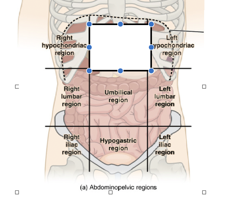 <p>What is this region called?</p>