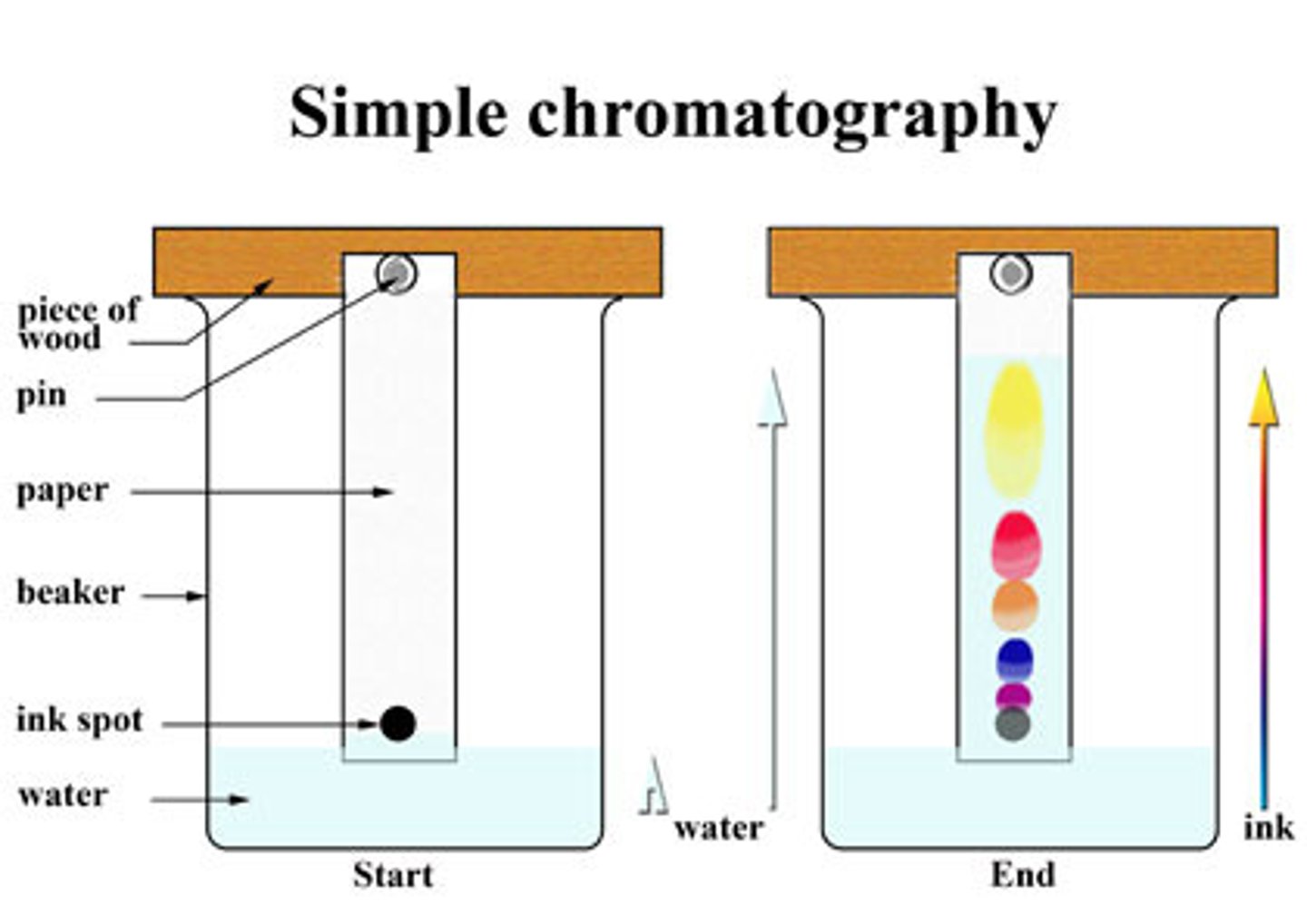 <p>seperation method: Ink or other liquid mixtures can be seperated using water a paper, by letting the water suck into a paper stained with ink, the ink paticles are seperated and carried by the water. the smallest particles go the furthest and the others stay back</p>