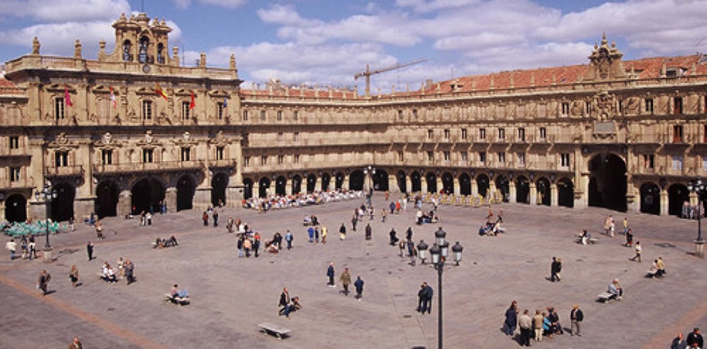 <p>main square, town square</p>