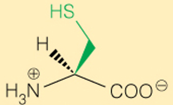 <p>3 Letter</p>