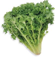 <p>Lettuce Endive</p>