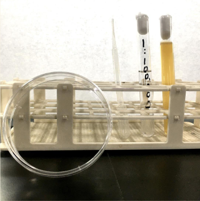 <p>Identify method of isolating pure culture.</p>