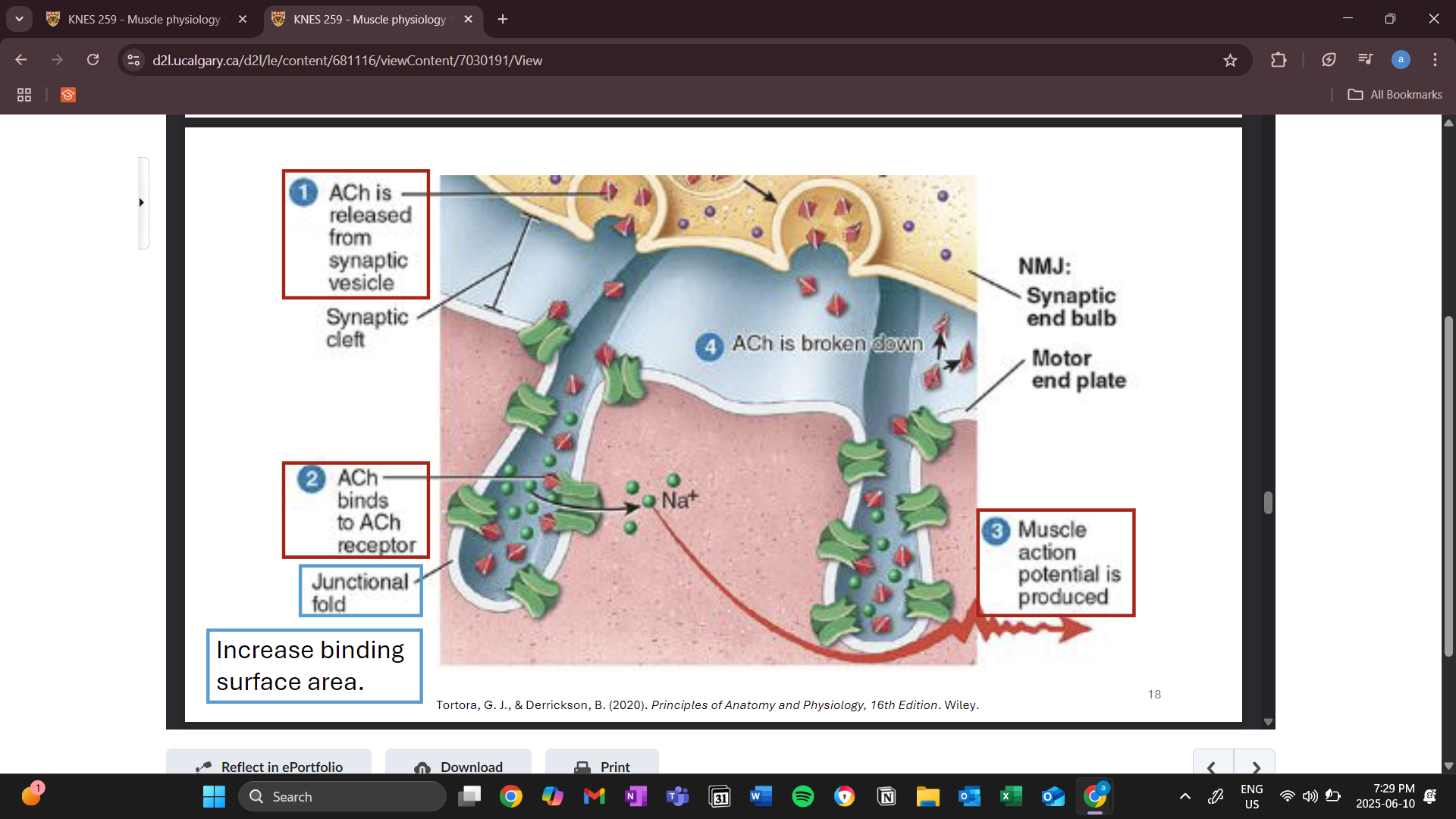 knowt flashcard image