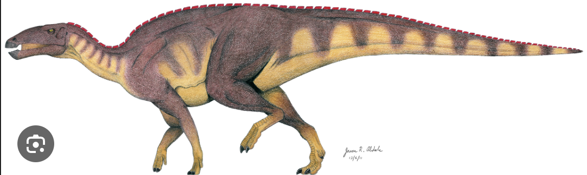 <p>Hadrosaurs</p>