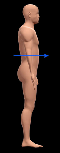 Front part or surface. Opposite of posterior