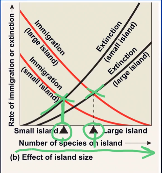 <p>what is this telling you?</p>