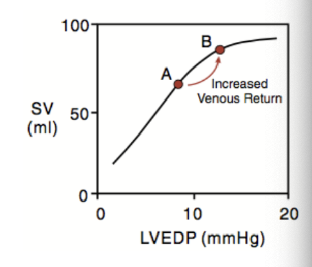 <p>contractile force</p><p>SV</p>
