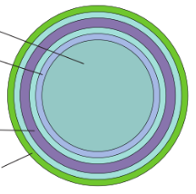 gramnegatieve bacteriën