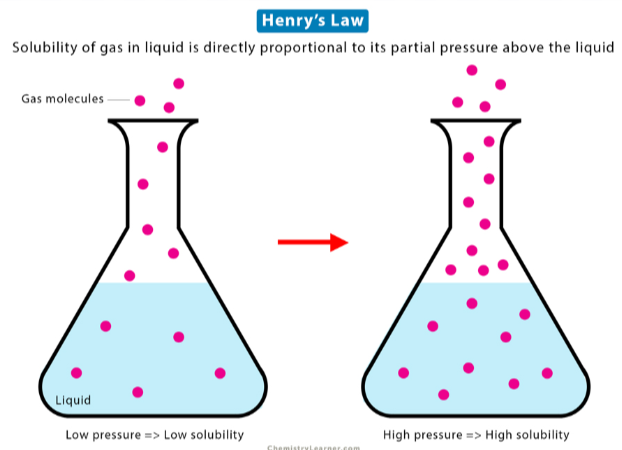 <p>The solubility of a gas will __________ with increasing partial pressure of the gas</p>
