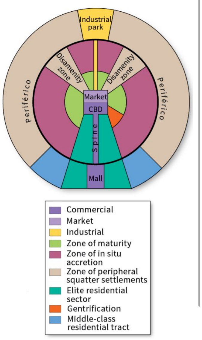 <p>A model of the internal structure of cities in less developed countries; developed by Ernst Griffin and Larry Ford; cities were planned and designed using the Law of Indies, are built around a central plaza/market place, include a spine where the wealthy live in the interior of the city, and includes squatter settlements along the periphery of the city</p><ul><li><p>Larry Ford and Ernest Griffin</p></li><li><p>1980, most applicable to metropolitan areas that were once colonial-era Spanish cities</p></li><li><p>Traditional elements of Latin American culture mixed with globalization</p></li><li><p>Extreme difference between areas for privileged and poverty</p></li><li><p>Zones:</p><ul><li><p><strong>CBD</strong> → 2 parts; high quality housing</p><ul><li><p>Traditional market center - sells every day goods</p></li><li><p>Modern high-rise center - focuses on primary business, entertainment, employment</p></li></ul></li><li><p><strong>Commercial Spine</strong> - Connects CBD to mall; high quality housing, theaters, restaurants, parks along it and ends in theaters secondary center (mall)</p></li><li><p><strong>Market on opposite side </strong>- has spine connecting to industrial park</p></li><li><p><strong>Zone of maturity </strong>- Rings CBD/market w/middle-class and good housing</p><ul><li><p>Has small gentrification sector: low-income displaced by high-income as area improves</p></li></ul></li><li><p><strong>Zone of Situation Accretion</strong> - Transition between older area of central city and poorest part of city; lower middle-class</p></li><li><p><strong>Periferico </strong>- Poverty, lack of infra, shantytowns/squatter settlements: areas of poorly built housing</p></li><li><p><strong>Disamenity zone - favelas and barrios</strong>: Neighborhoods marked by extreme poverty, homelessness, and lawlessness</p><ul><li><p>Not connected to city services (electricity, water supply), physically unsafe</p></li><li><p>Structures poorly con structures, densely packed</p></li></ul></li></ul></li><li><p>As distance from the center of Latin American cities increases, the quality of housing decreases</p><ul><li><p>Public transportation, the urban water supply, and access to electricity all decrease farther away from the center, sometimes disappearing altogether</p></li></ul></li></ul>