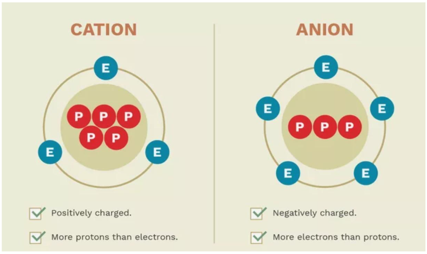 <p>An ion is an atom with a positive or negative charge</p>