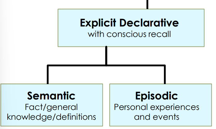 <p>Factual info that can be declared</p><ul><li><p>semantic memory</p><ul><li><p>conceptual knowledge--facts, ideas, and concepts </p></li><li><p>e.g. ‘Madrid is the capital of Spain’</p></li></ul></li><li><p>episodic memory </p><ul><li><p> info about temporally dated episodes &amp; events </p></li><li><p>e.g. Your first day of Uni, what you had for breakfast, specific and general events</p></li></ul></li></ul><p></p>