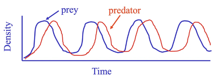 <p></p>