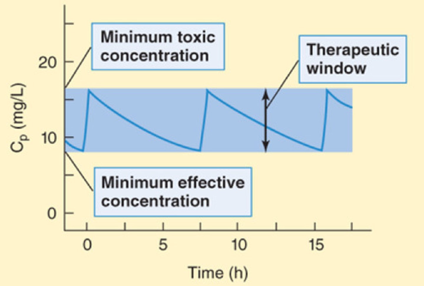 <p>Safe range between the minimum therapeutic contraction and the minimum toxic concentration of the drug</p>