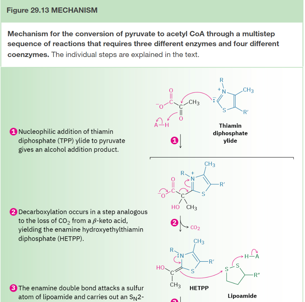 <p>Summary</p>