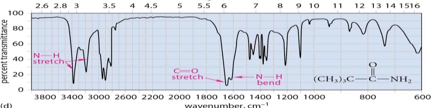 <p>Amides (N-H) bending bonds </p>