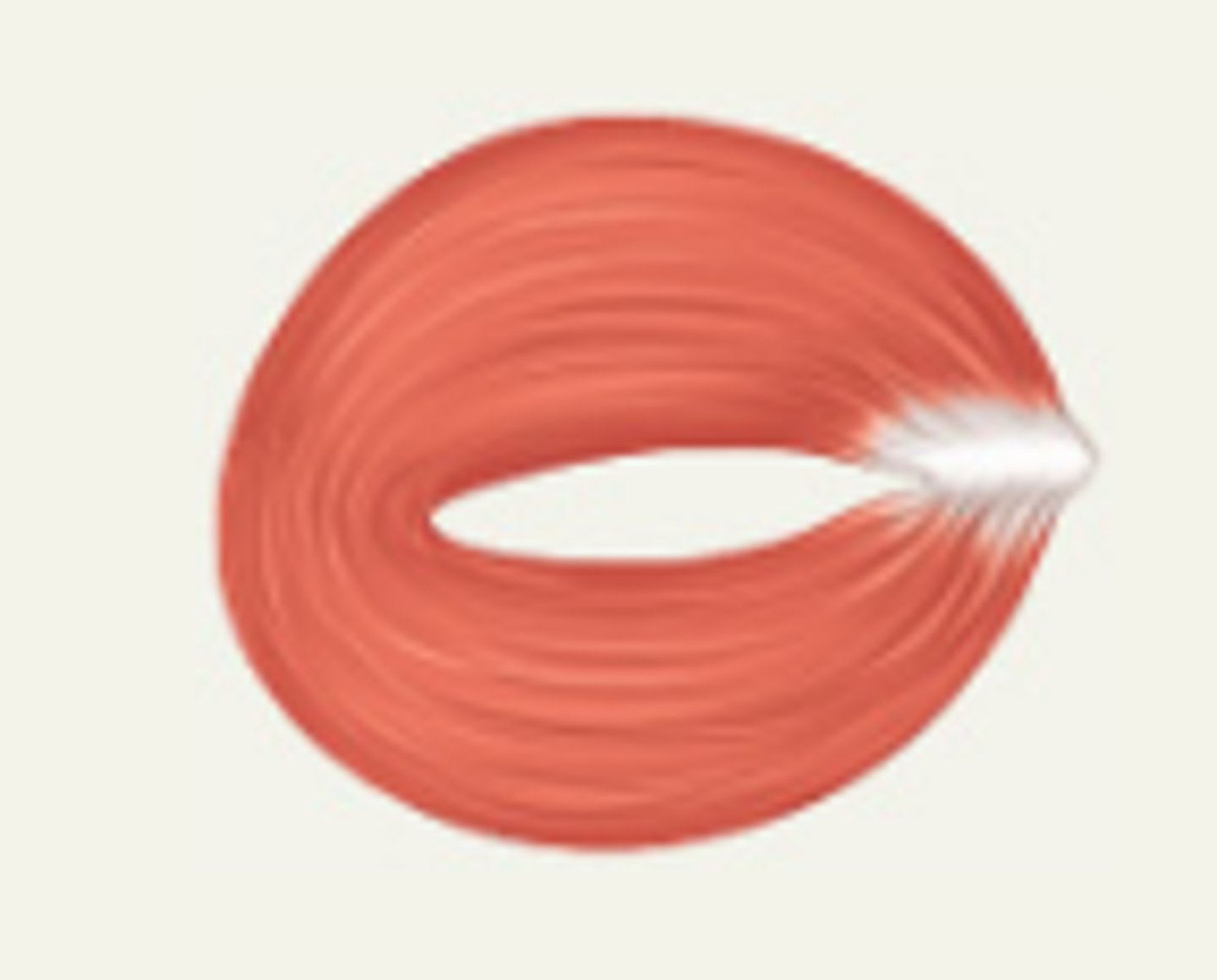 <p>What is this?</p>