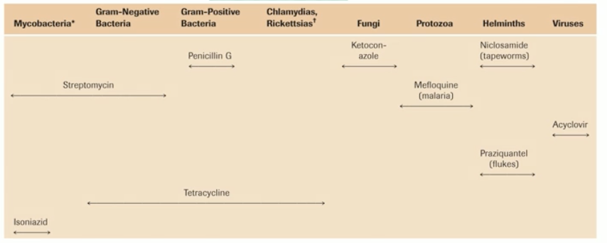 <p>broad: </p><ul><li><p>kill off multiple types of bacteria </p></li><li><p>used to treat people with sepsis</p></li><li><p>con: disrupt the natural microbiome, leading to superinfections</p></li></ul><p>narrow: </p><ul><li><p></p></li></ul><p></p>