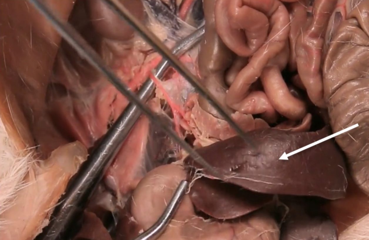 <p>What is this?</p>