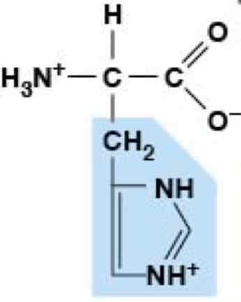 <p>Polar, Charged (Hydrophobic) </p>