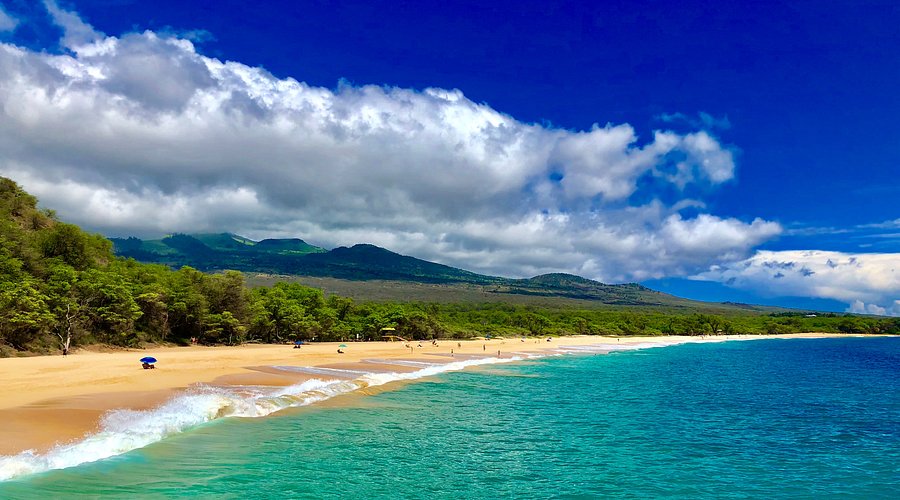 <p>Beach</p>